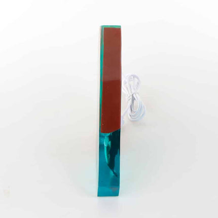 Walvis lamp van epoxyhars en hout