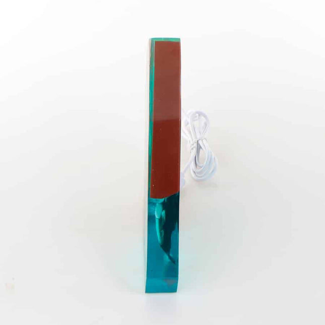 Walvis lamp van epoxyhars en hout