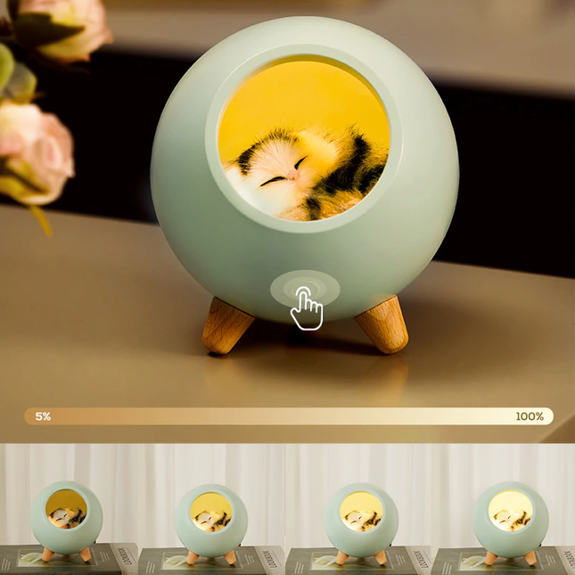 Oplaadbaar nachtlampje met slapende kat