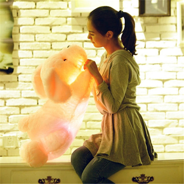 Lichtgevende knuffel hond met LED lampjes