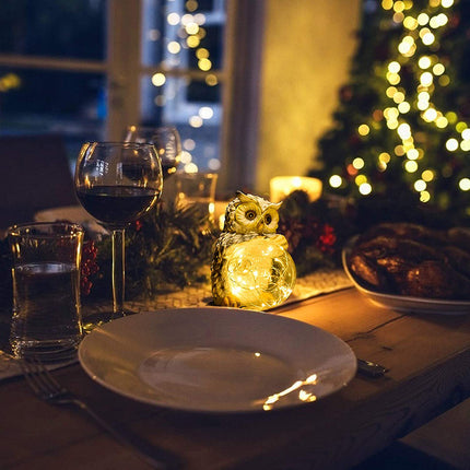 Uil tuinlamp LED op zonne-energie